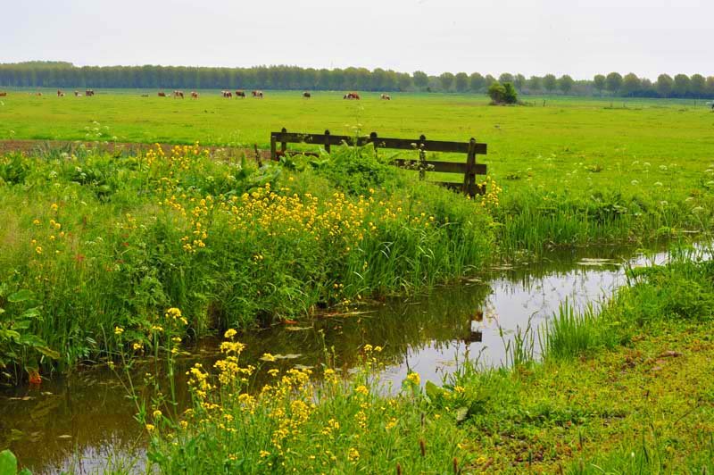 bielandsepolder_0