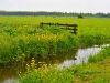 bielandsepolder_0